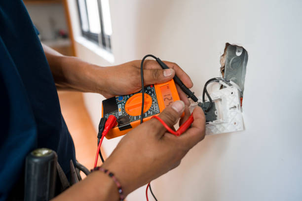 Best Home Electrical Repair  in Flat Rock, MI