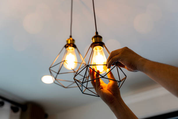 Best Licensed Electrician  in Flat Rock, MI